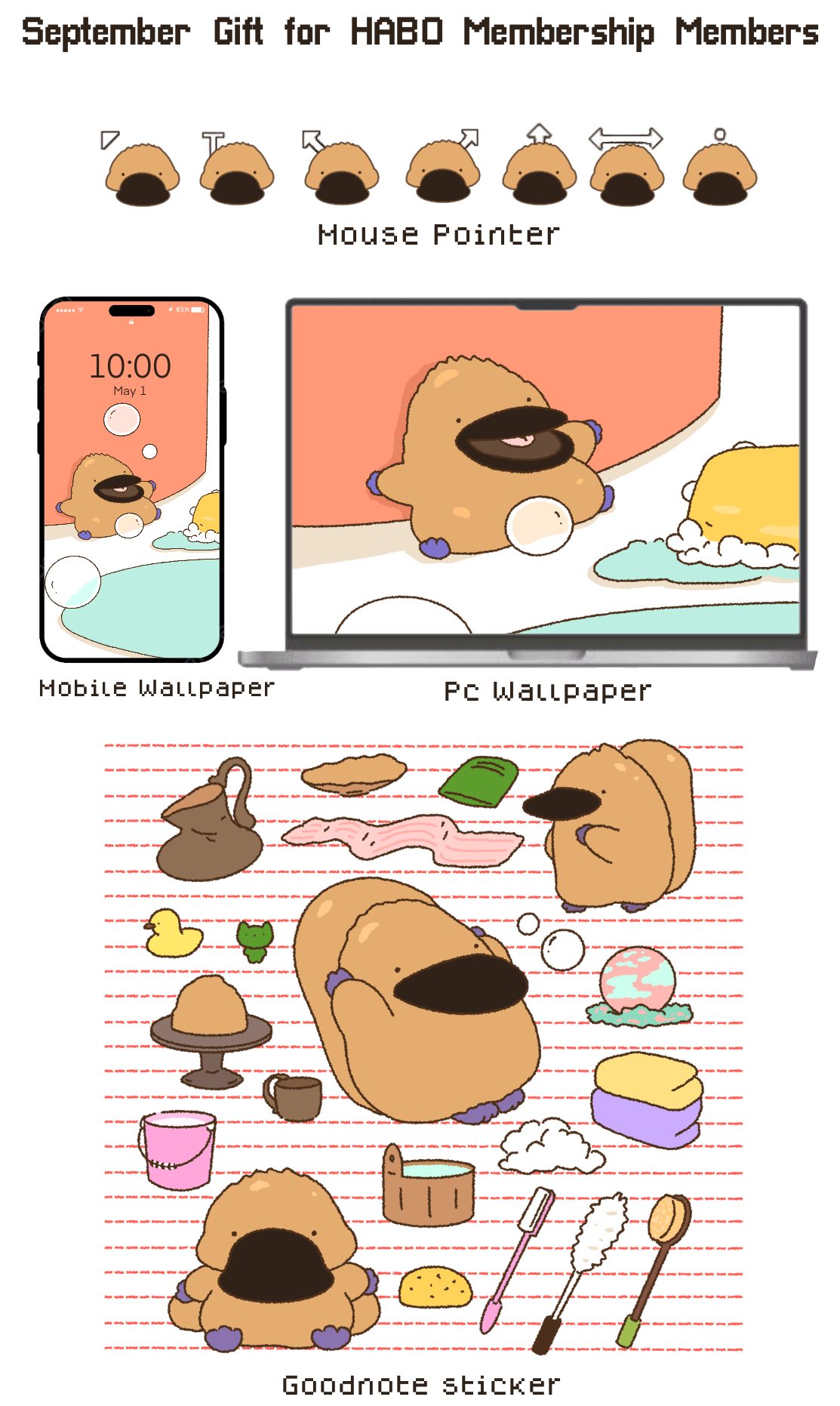 모바일 전용 이미지