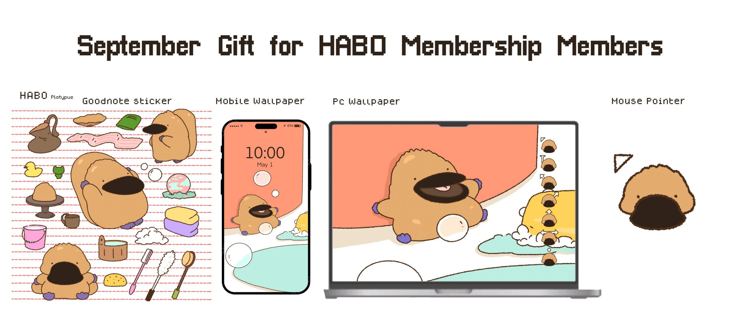 PC 전용 이미지